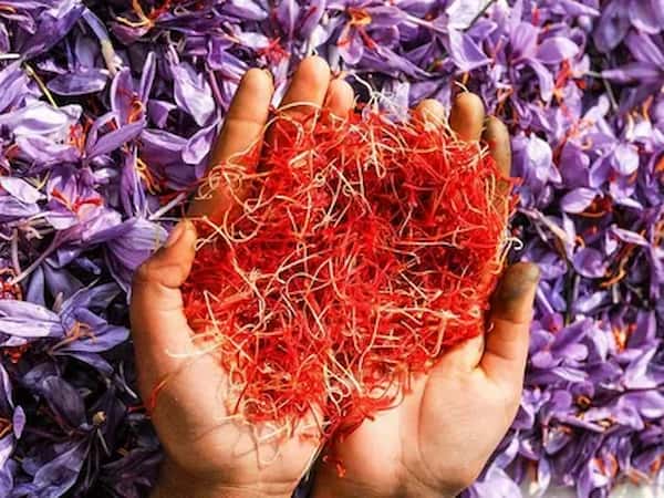 تصویر 2 از قیمت خرید اسپری زعفران با فروش عمده